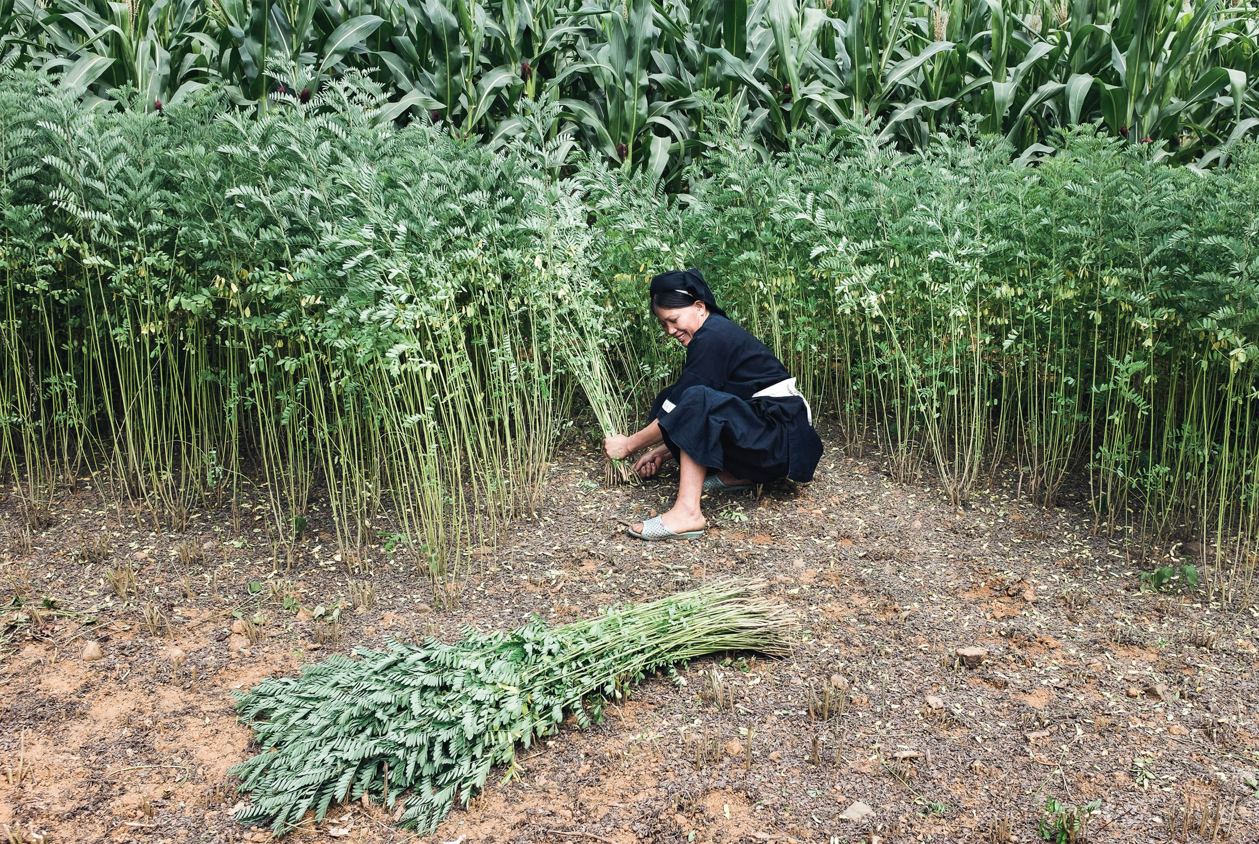 thời trang bền vững 3