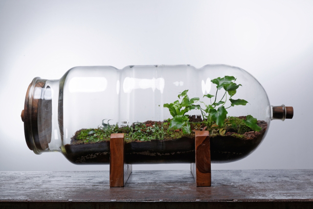Florariums 4