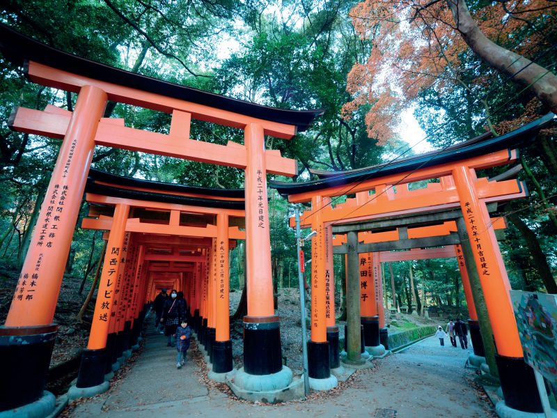 Rong chơi mùa lá đỏ