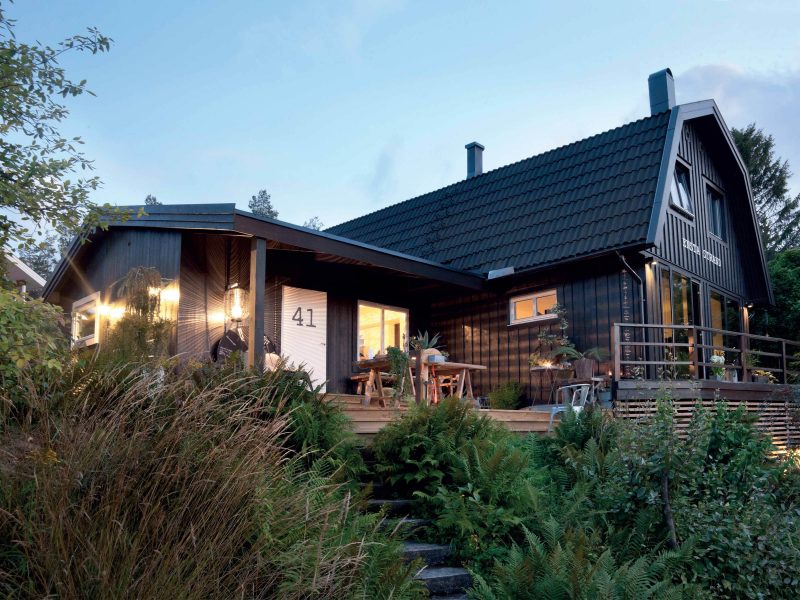 Khu rừng của Jimmy