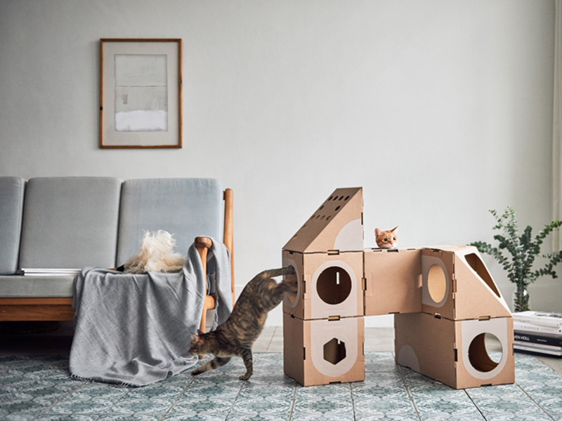 A Cat Thing – thiết kế dạng module dành cho chú mèo yêu