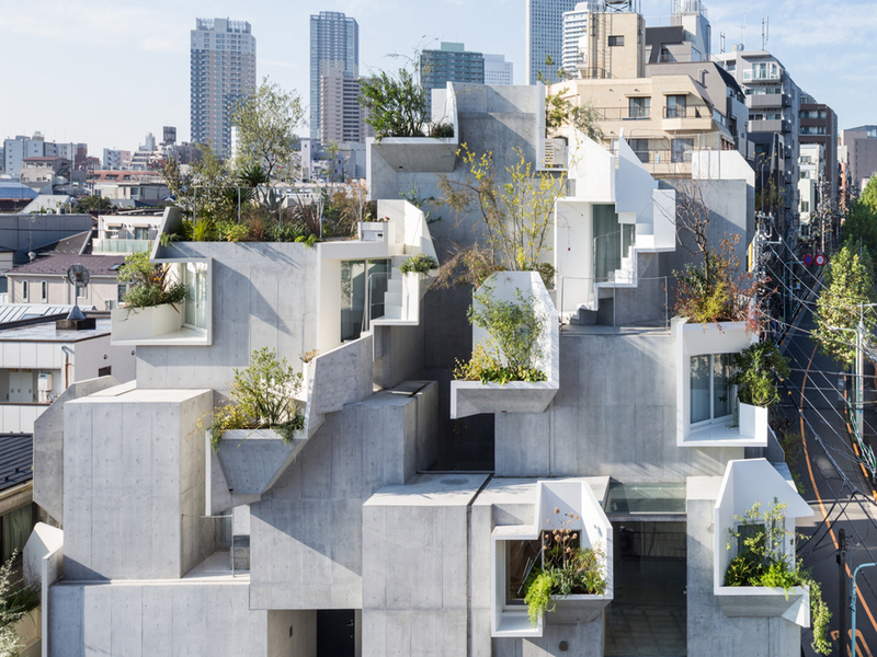 Tree-ness house: ngôi nhà với nhiều "ô" phòng mắc nối, đan xen của Akihisa Hirata