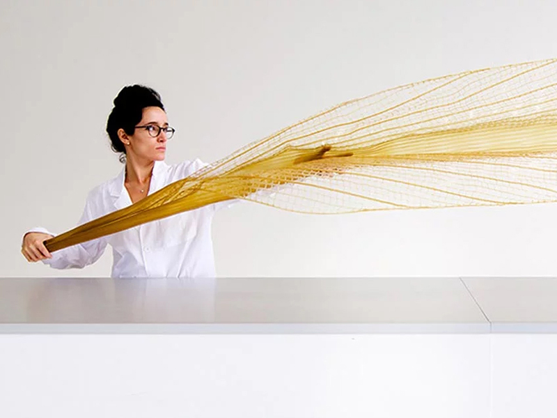 Vật liệu mới từ Polymer - Lời hứa cho tương lai