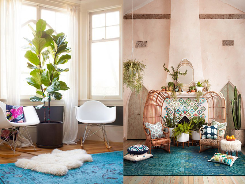 Cây xanh và những giải pháp cải thiện không gian sống