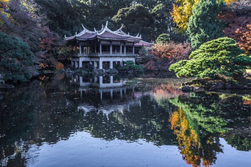 du lịch Tokyo 6