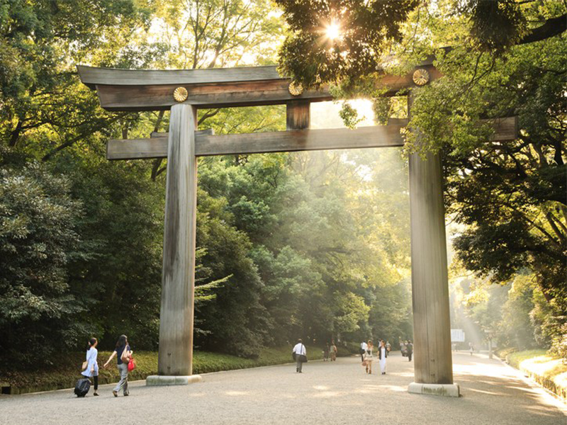 6 địa điểm nên ghé đến khi du lịch Tokyo