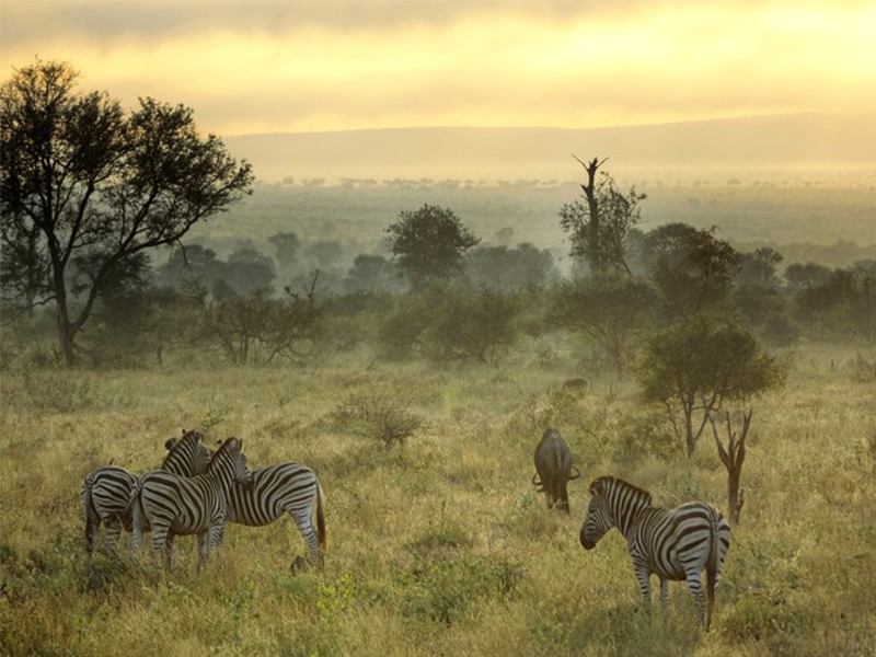 Điểm qua 5 vườn quốc gia quy mô bậc nhất tại Châu Phi