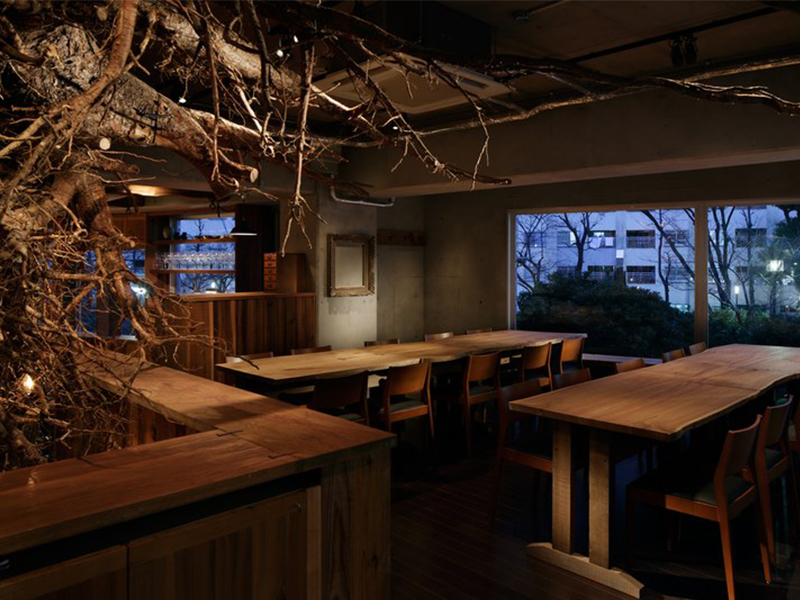 Điểm qua 5 nhà hàng Tokyo đầy thú vị