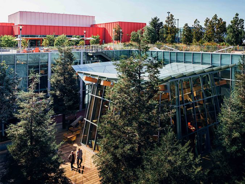 Trụ sở Facebook mang quan điểm tương tác qua bàn tay của KTS. Frank Gehry