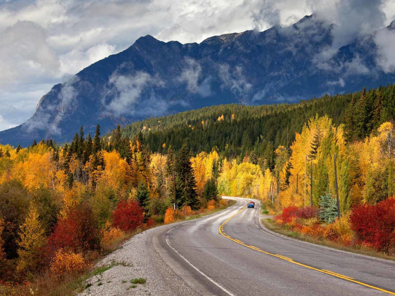 Chiêm ngưỡng khung cảnh mùa thu vàng rực rỡ ở khắp nơi trên thế giới