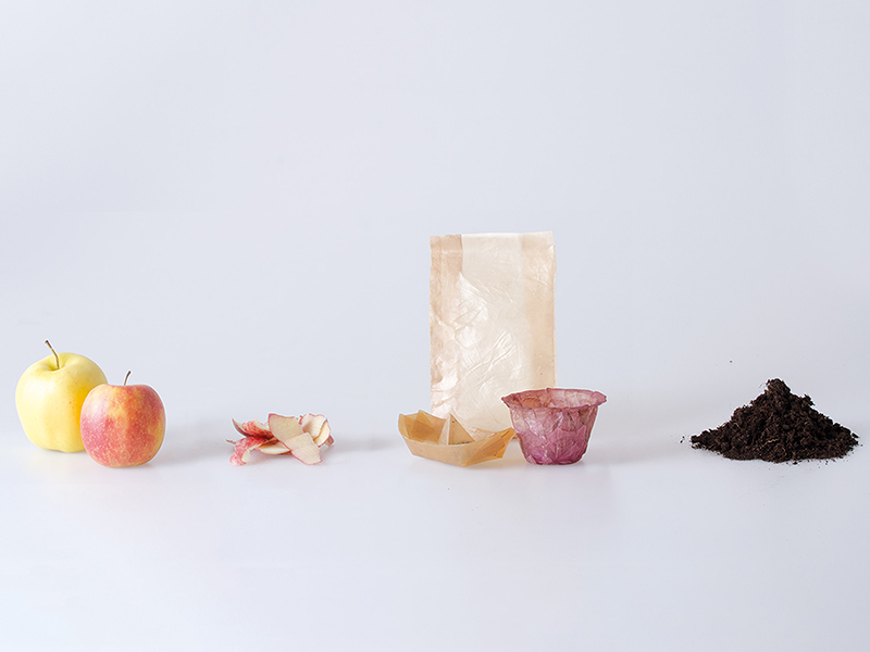 Bao bì sản phẩm "sạch" từ vi khuẩn và nấm lên men