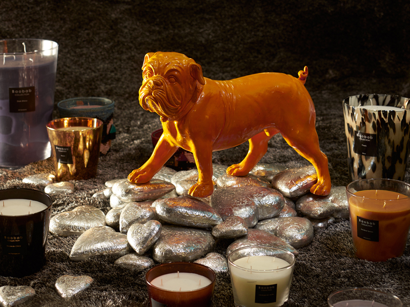 Lựa chọn tuyệt vời trang hoàng mùa lễ hội