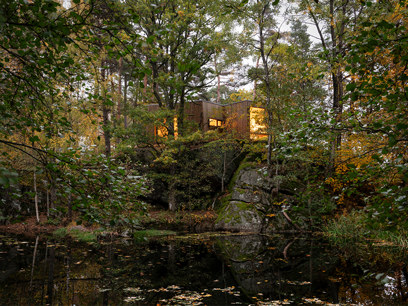 Outdoor Care Retreat - Túp lều gỗ giữa rừng xanh