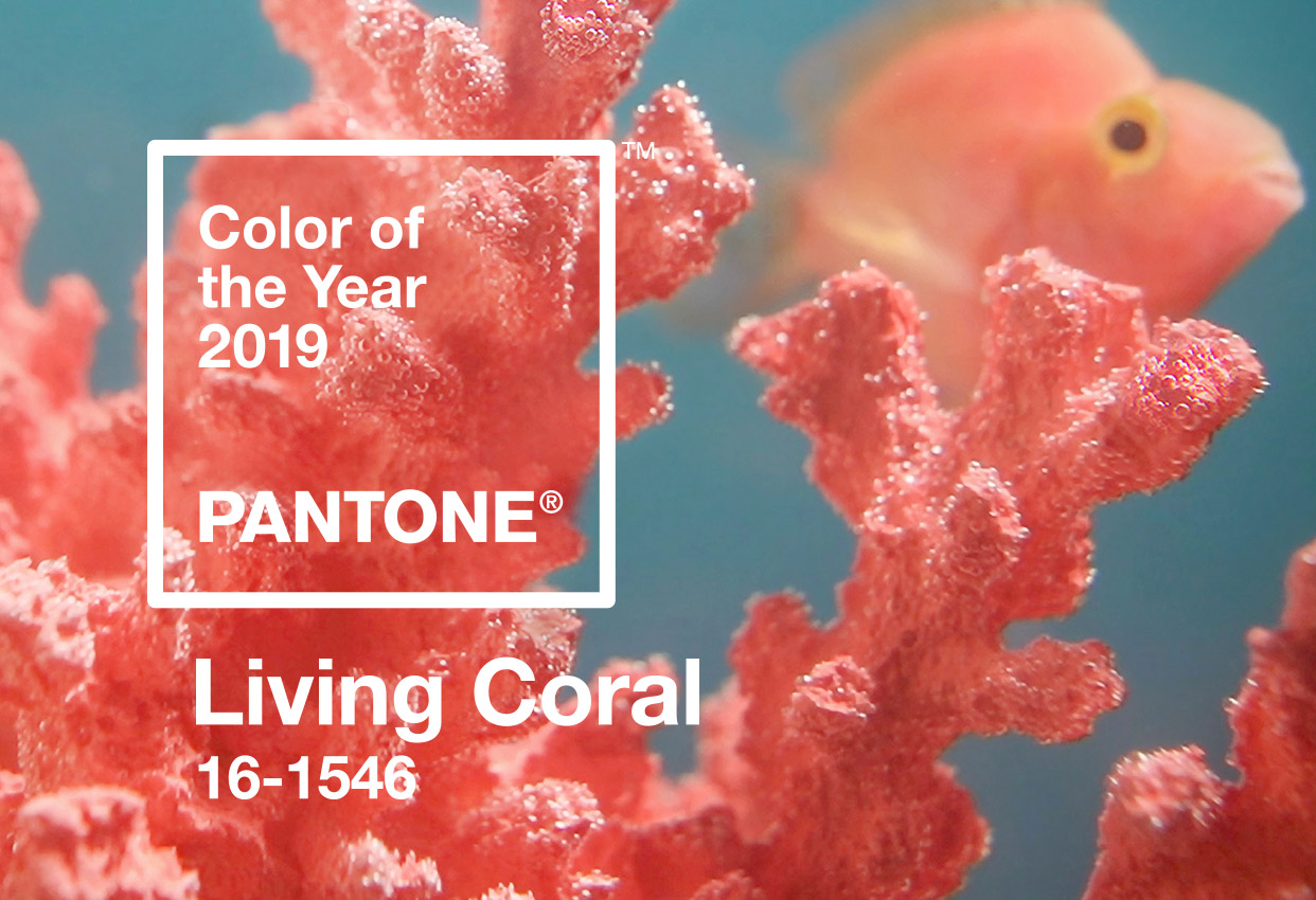 Pantone living coral 2019 elledecoration vn