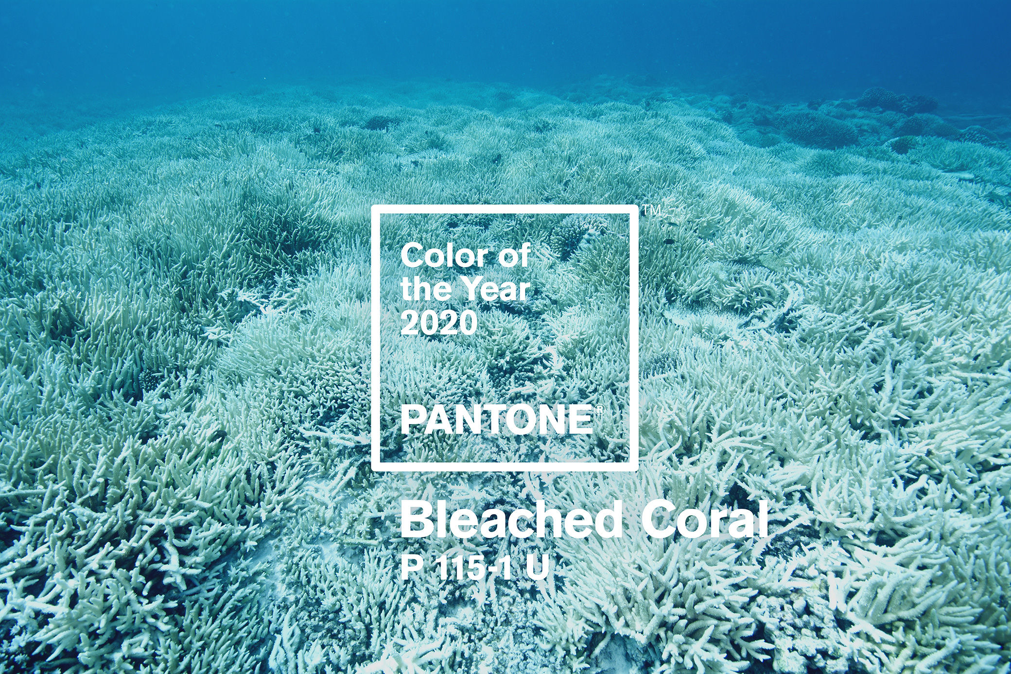 jack-huei pantone 2020 bleached coral elledecoration vn