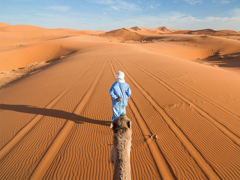 Ma Rốc – Lang thang ở xứ ngàn lẻ một đêm