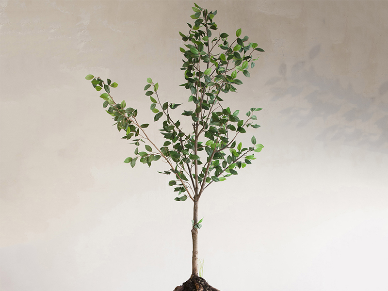 Những ngôi mộ mang giá trị "bền vững"