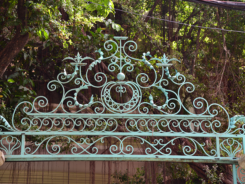 Đi tìm hoa sắt nở chốn rào thưa