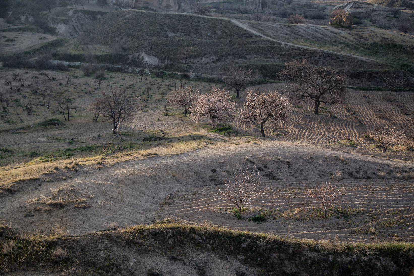 Cappadocia 3