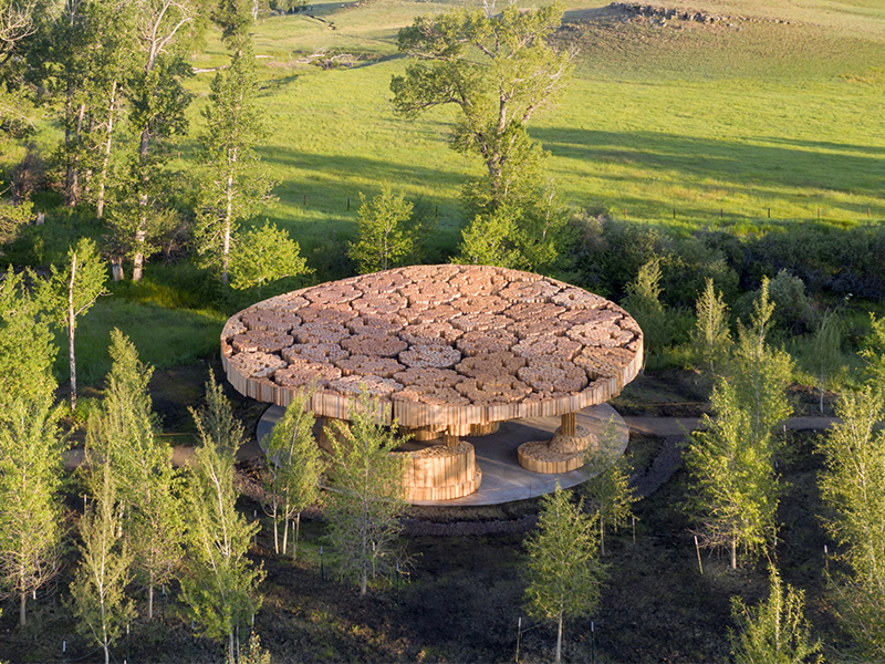 Khối nhà gỗ công cộng giữa mảng xanh trong lành