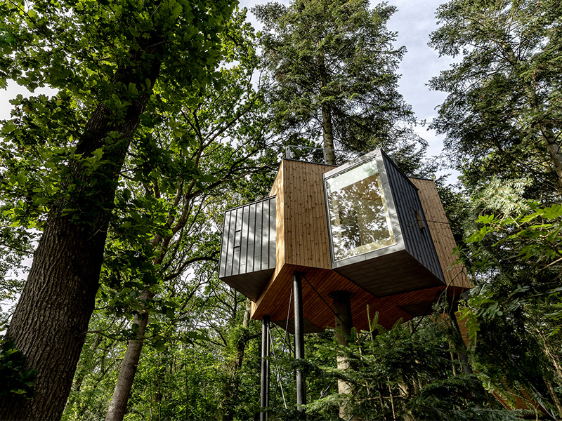 Khách sạn trên cây giữa khoảng xanh ven biển