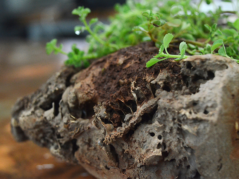 6 sản phẩm thân thiện với môi trường