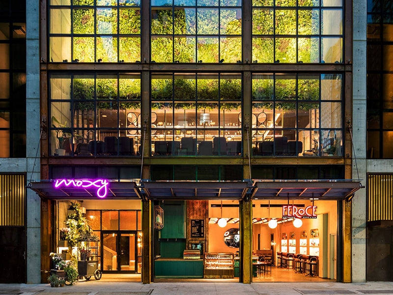 Khách sạn Moxy - Cảm hứng từ chợ hoa