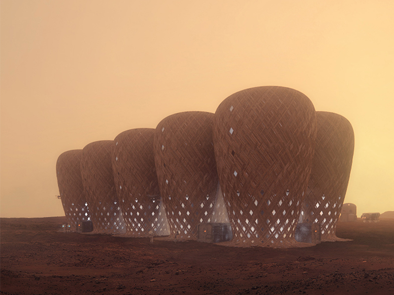Xây dựng công trình Sao Hỏa bằng vật liệu tre bản địa