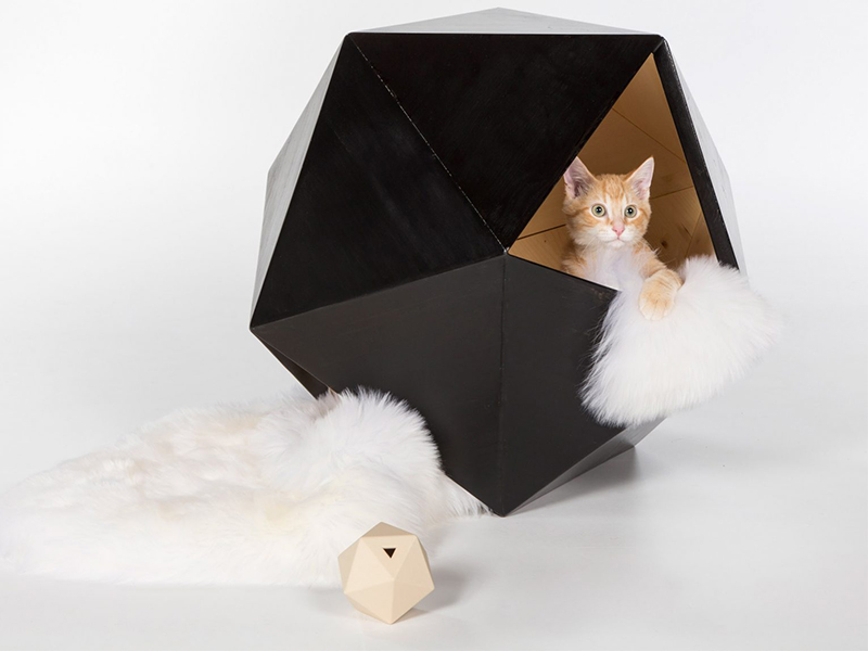 Không gian thiết kế dành riêng cho mèo cưng