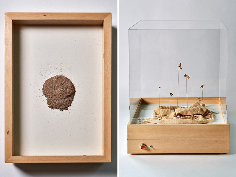 Vật liệu sinh học tái chế từ quần áo cũ