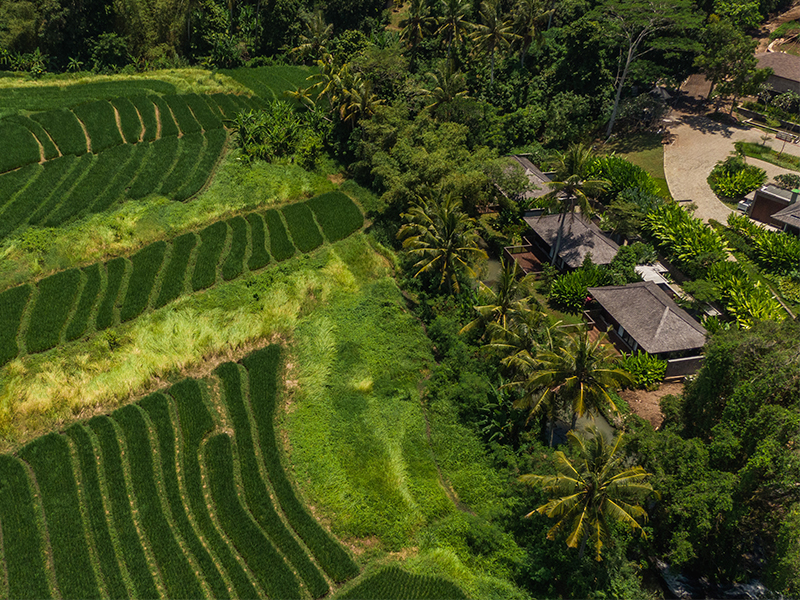 Khu nghỉ dưỡng Nirjhara - Tìm về đồng quê xanh ngát