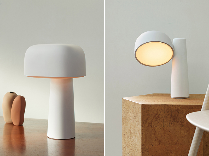 BST đèn in 3D làm từ vật liệu ngô