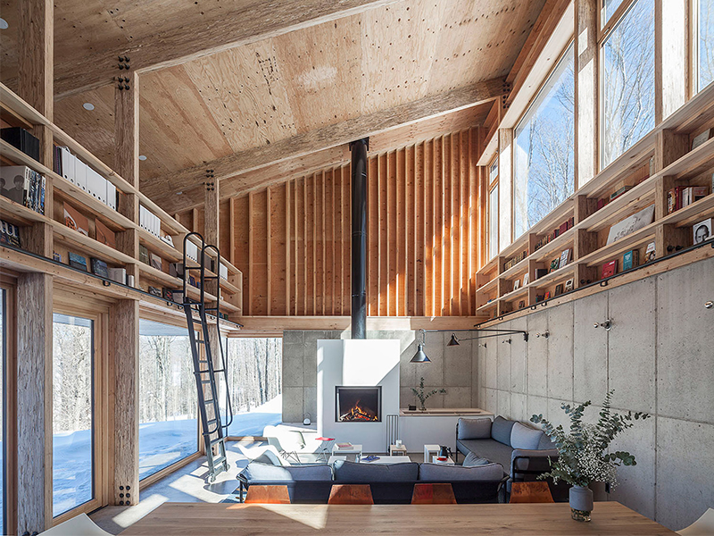 Camp O - Trốn chạy New York