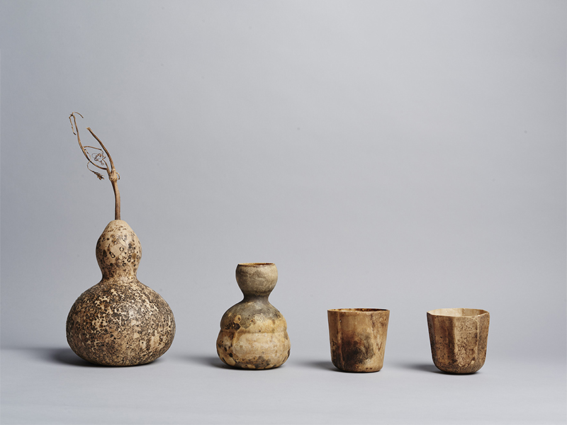 The Gourd Project - Trồng ly uống nước