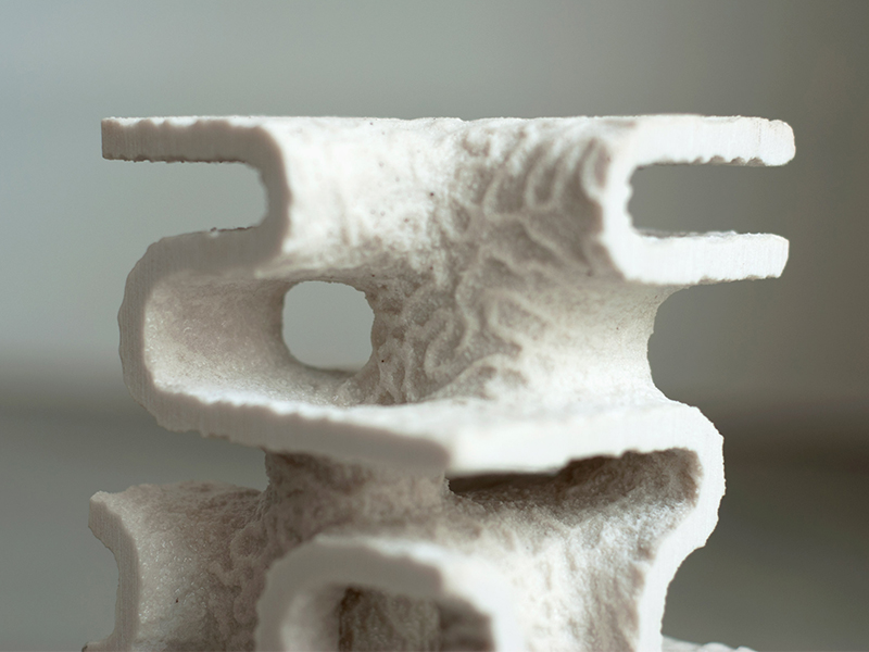 Dự án phục hồi sinh thái biển bằng giải pháp in 3D