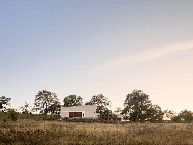 Không gian giữa ngát xanh