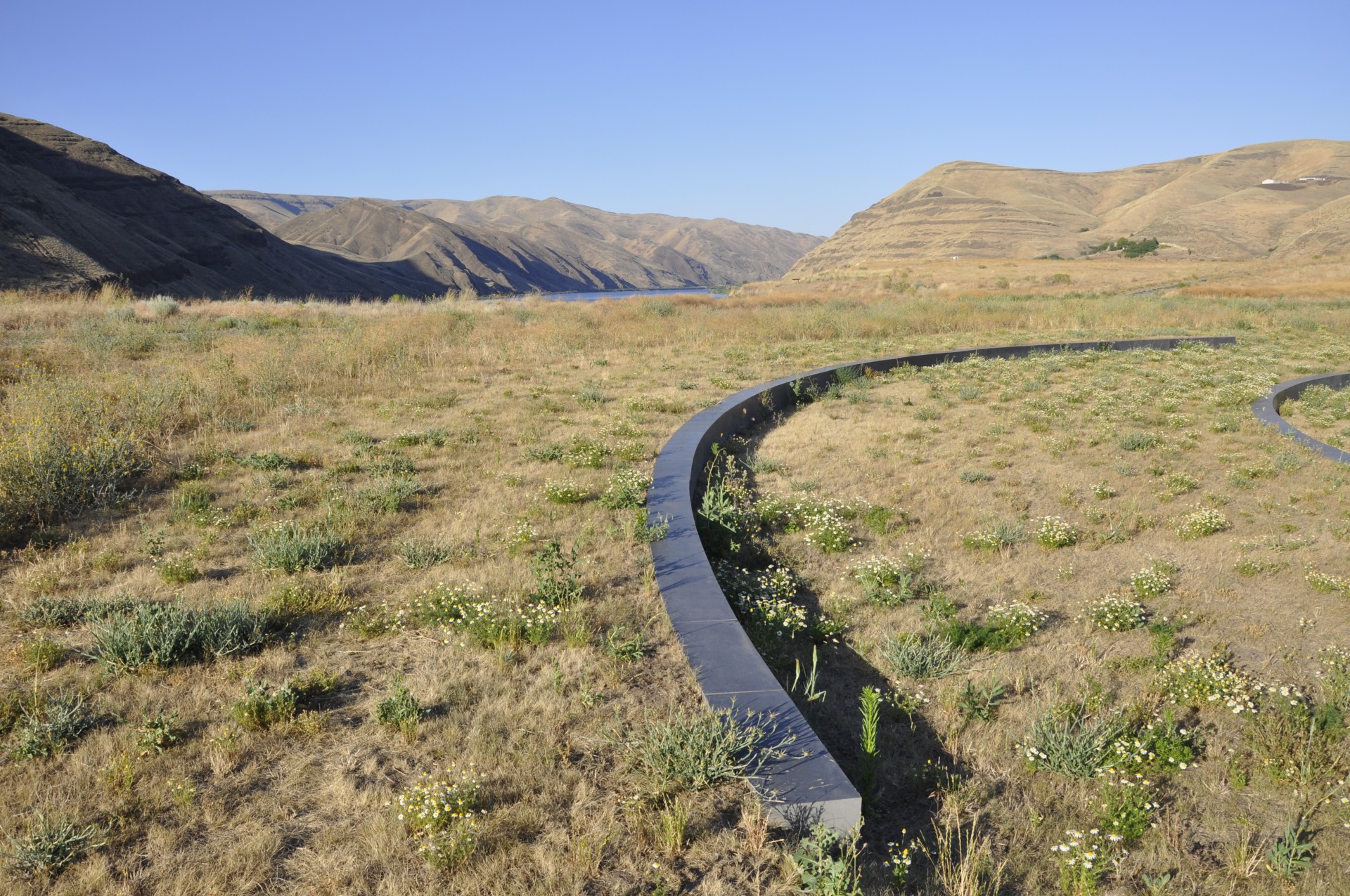 Maya Lin 8