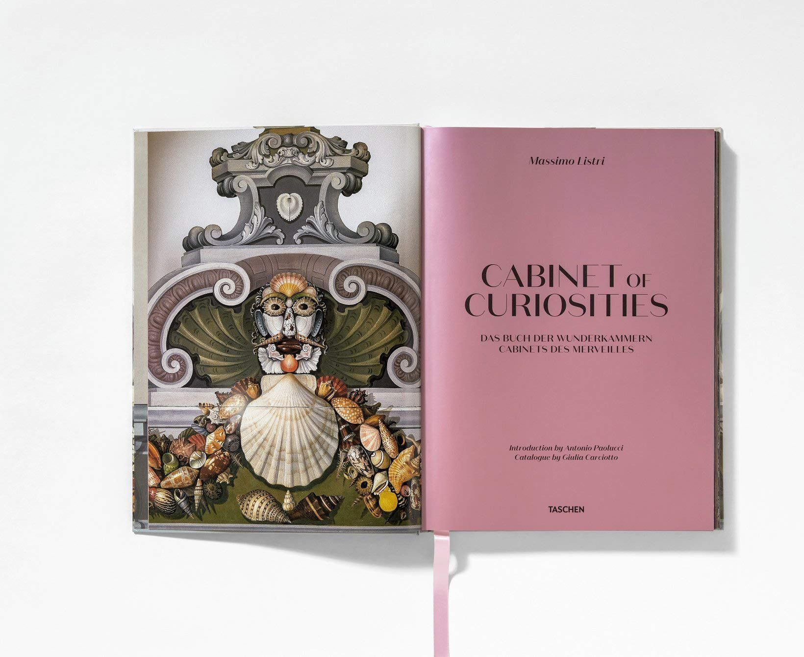 Cabinet of Curiosities 5