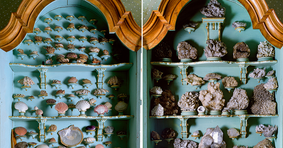 Cabinet of Curiosities 2