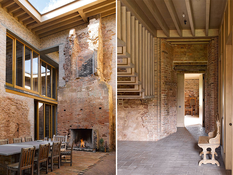 Mầm sống giữa hoang tàn