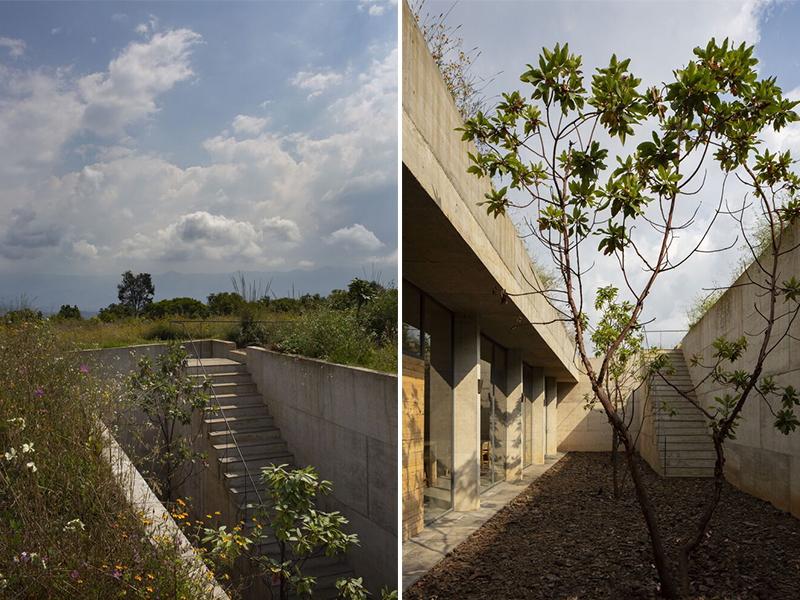 Casa Aguacates - Ngôi nhà dưới thềm cỏ