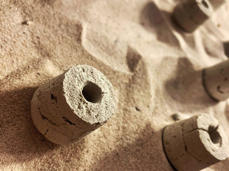 Anquastor - Giải pháp chống sa mạc hoá từ ụ mối