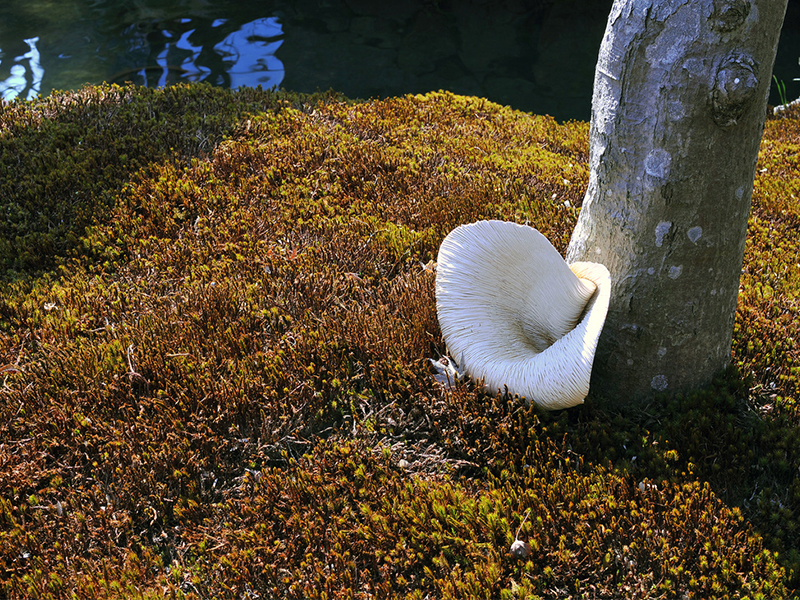 Kaoru Taniuchi - Tạo hình mang âm hưởng thi ca