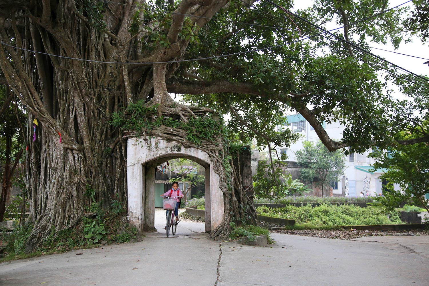 Cổng làng Yên Cốc