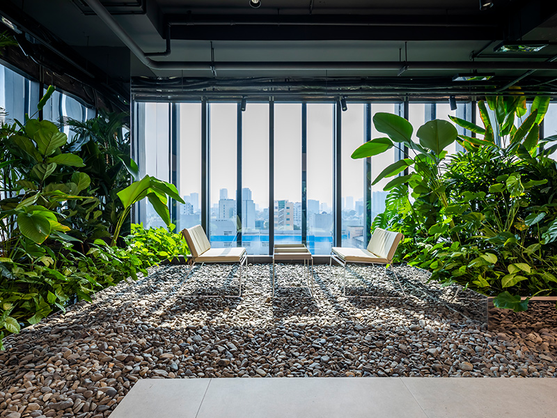 Mr.Green’s Office - Khu vườn ngoài trời trong một khối bê tông cao tầng