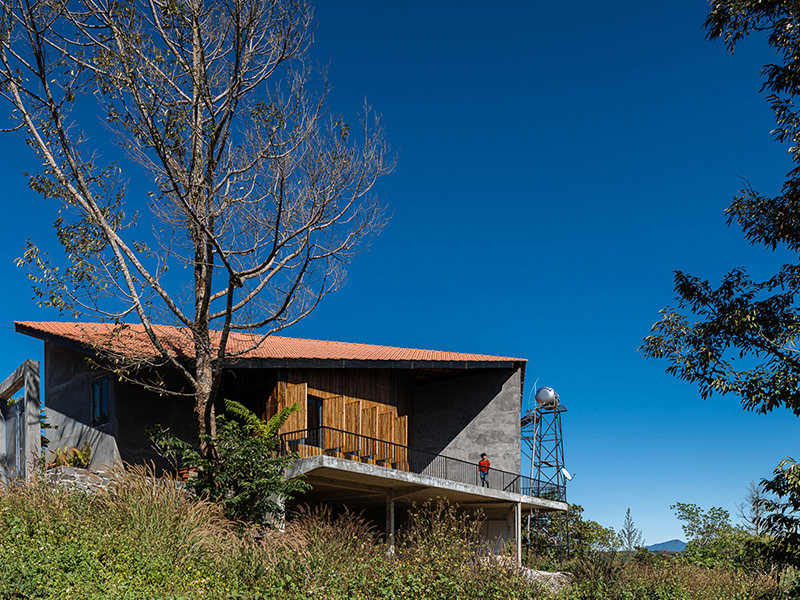 Nhà Gia Nghĩa - Chiếc lá sầu riêng khô rơi chạm nhẹ đất