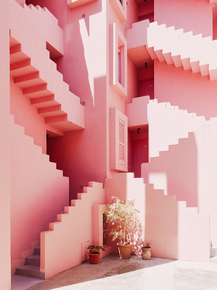 La Muralla Roja 5