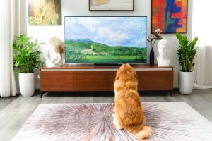 LG OLED TV evo 2022 3