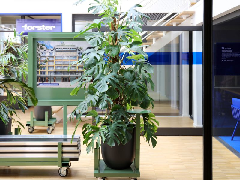 Showroom Square – Không gian trưng bày và kết nối