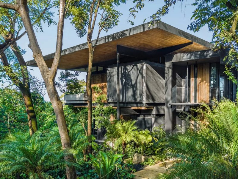 Raintree House: Chốn nương ẩn lý tưởng tại Costa Rica